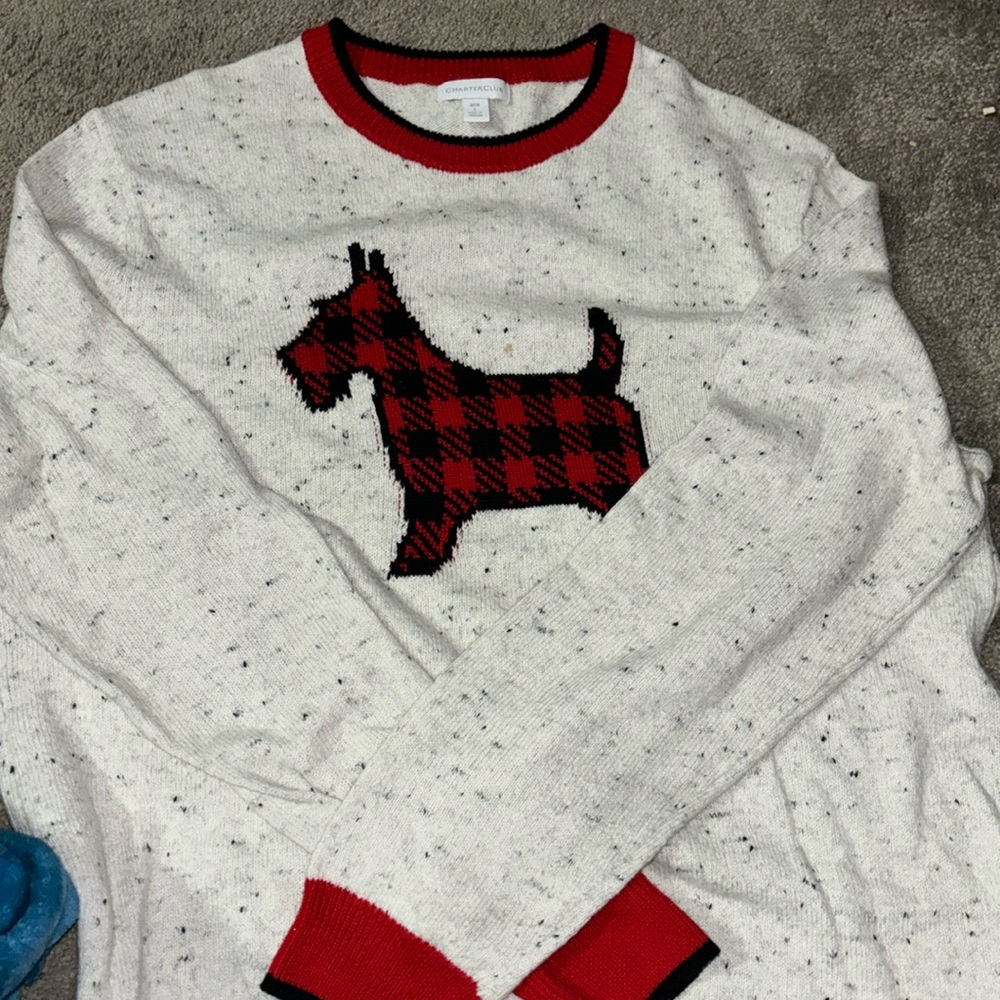 Sweatshirt for men